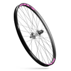 ecomposer-Color-PINK