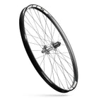 ecomposer-Color-WHITE